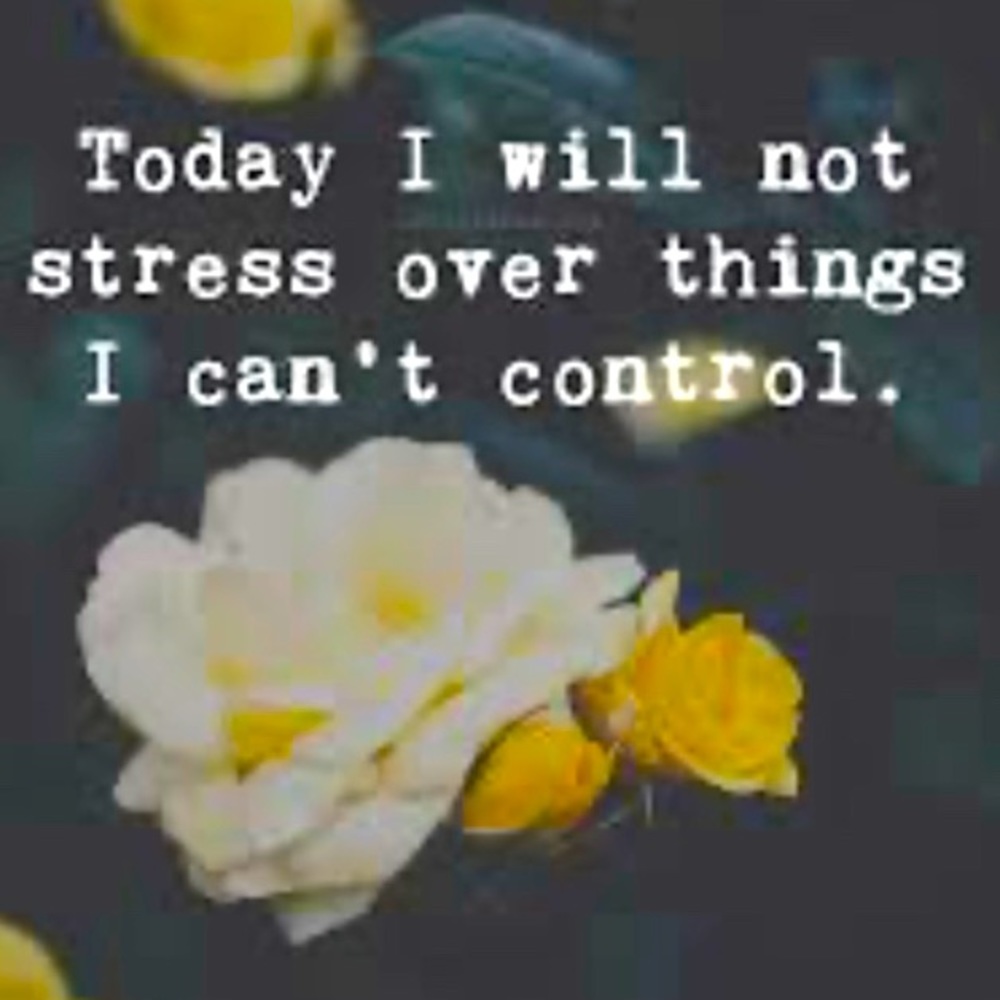 ~ ~ ~   🤗  ~ ~ ~